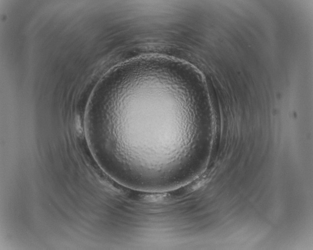 X0000075870089200609151302