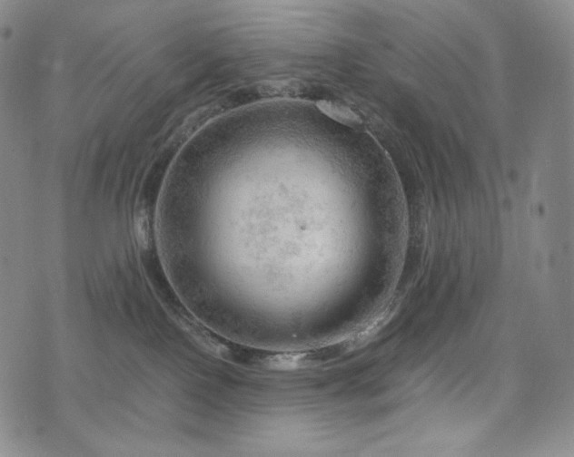 X0000075870090200609151302
