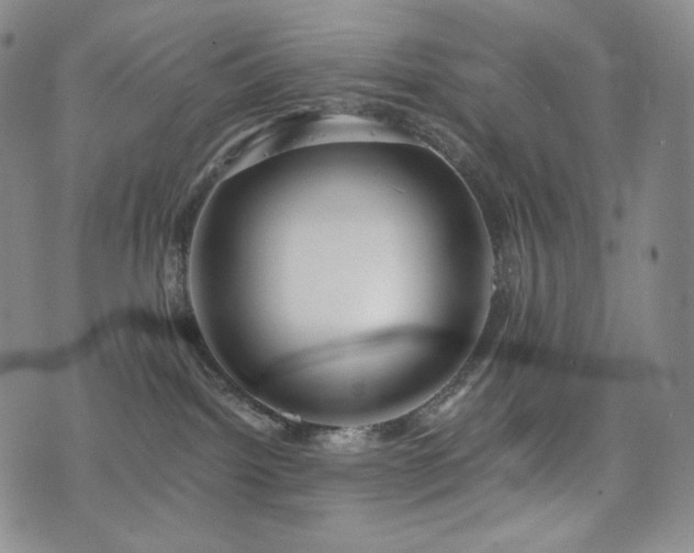 X0000075870092200609151302