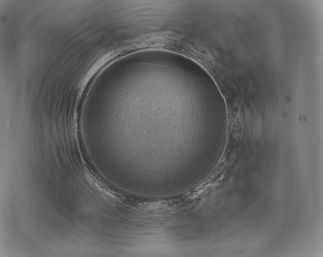 X0000075870100200609151301