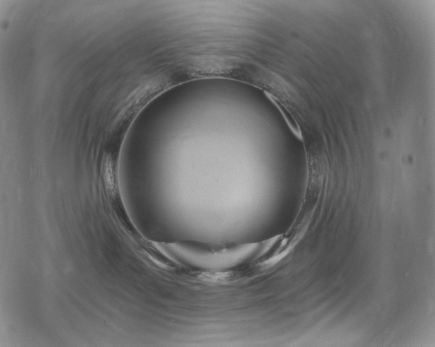 X0000075870143200609151300