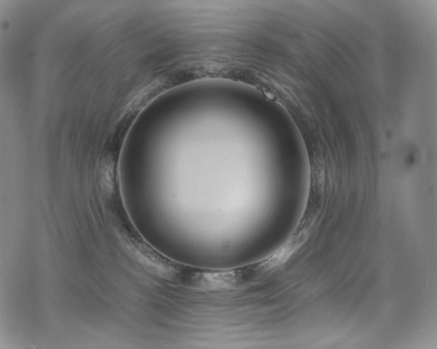 X0000075870188200609151300