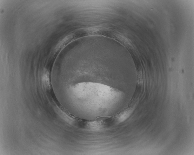 X0000075870238200609151259