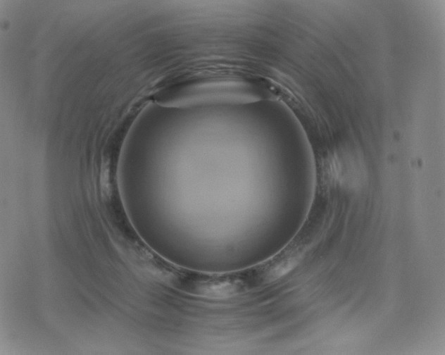 X0000075870267200609151258