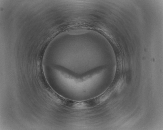 X0000075870269200609151258
