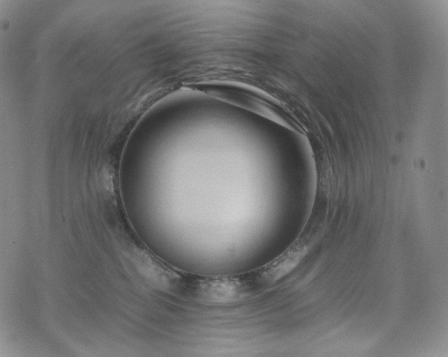 X0000075870282200609151259