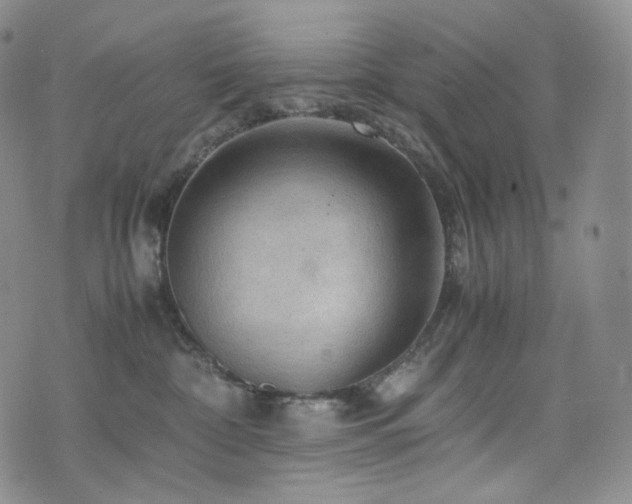 X0000075870332200609151257