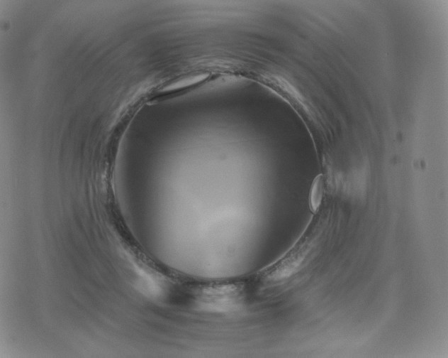 X0000075870357200609151257