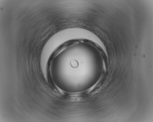 X0000075870376200609151257
