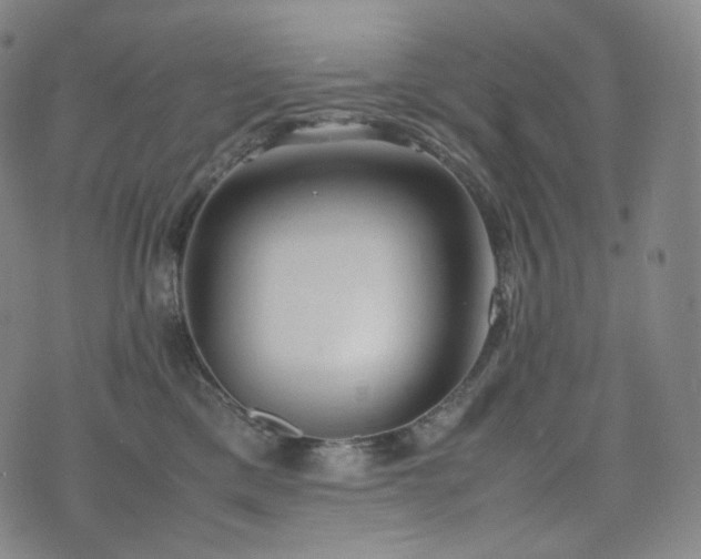 X0000075870425200609151256