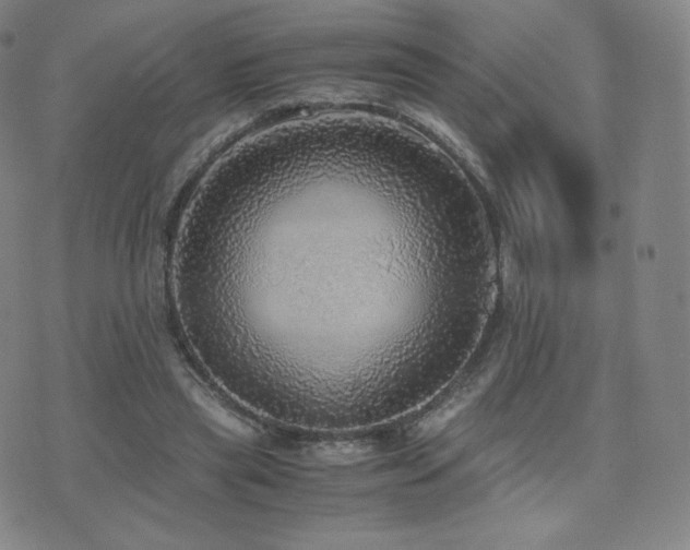 X0000075870445200609151255