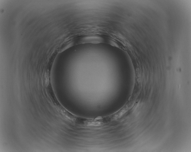 X0000075870471200609151255