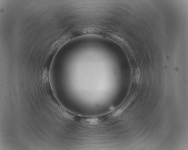 X0000075870478200609151256