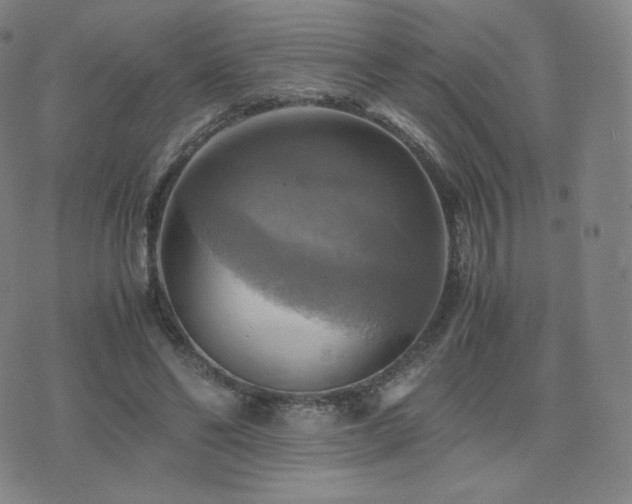 X0000075870494200609151255