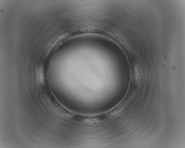 X0000075870508200609151254