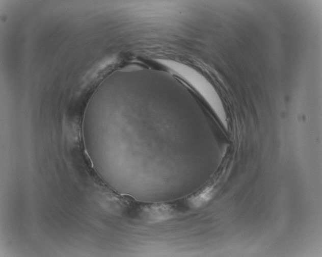 X0000075870517200609151254