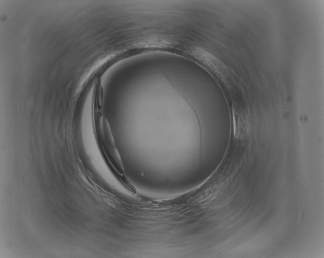 X0000075870531200609151253