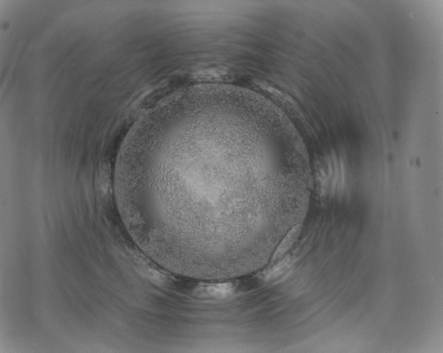 X0000075870665200609151252