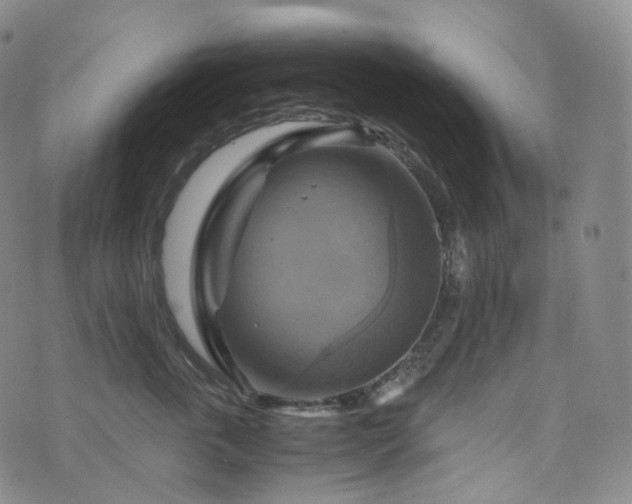 X0000075870763200609151251