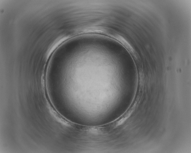 X0000075870814200609151249