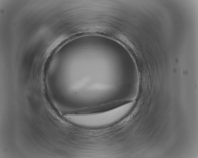 X0000075871071200609151245