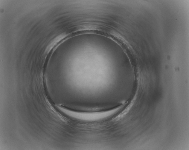 X0000075871121200609151244
