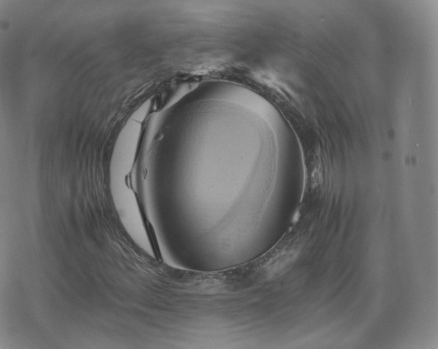 X0000075871156200609151244