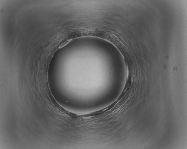 X0000075871345200609151241