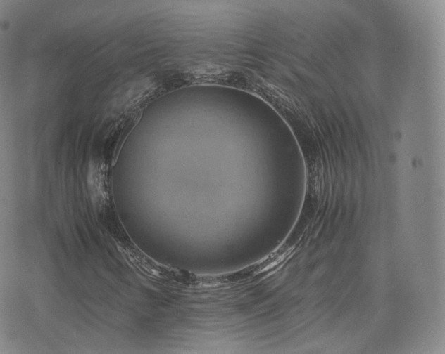 X0000075871346200609151241
