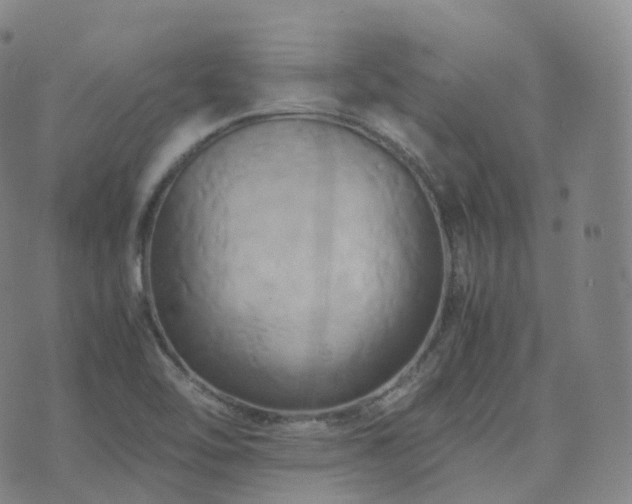 X0000075871462200609151239