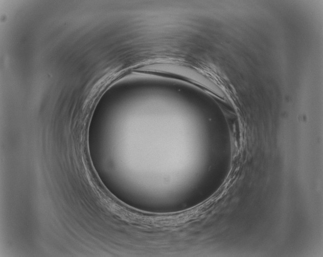 X0000075870001200609221832