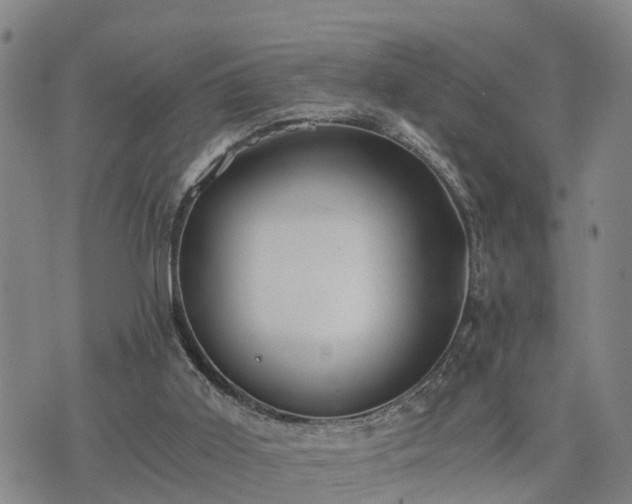 X0000075870011200609221832