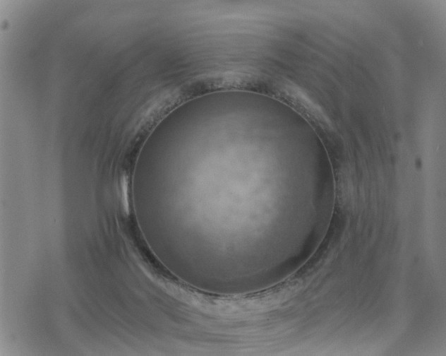 X0000075870022200609221832