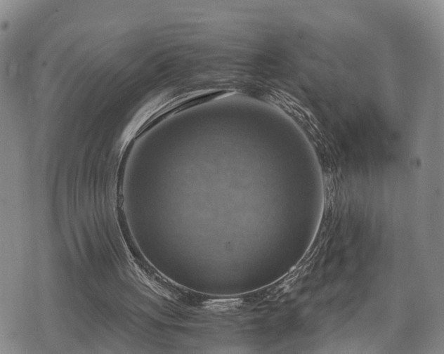 X0000075870051200609221831
