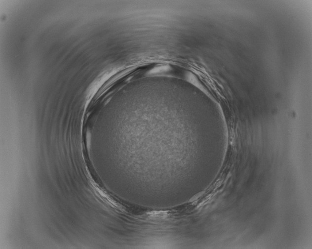 X0000075870052200609221831