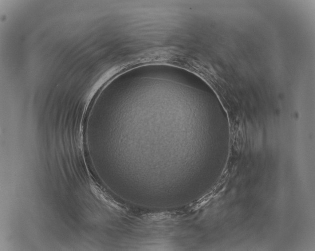 X0000075870100200609221831