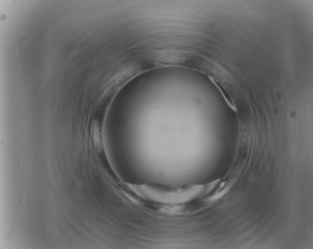 X0000075870143200609221830