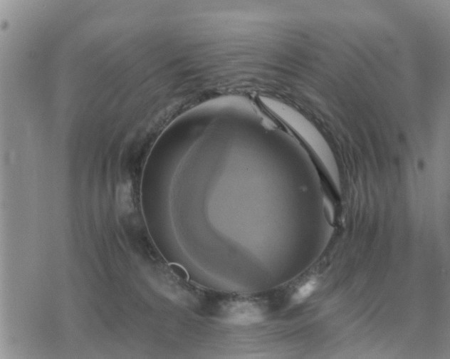 X0000075870224200609221829