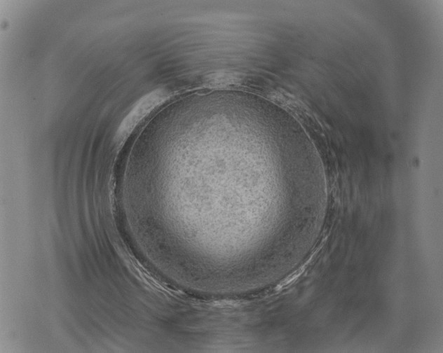 X0000075870242200609221828