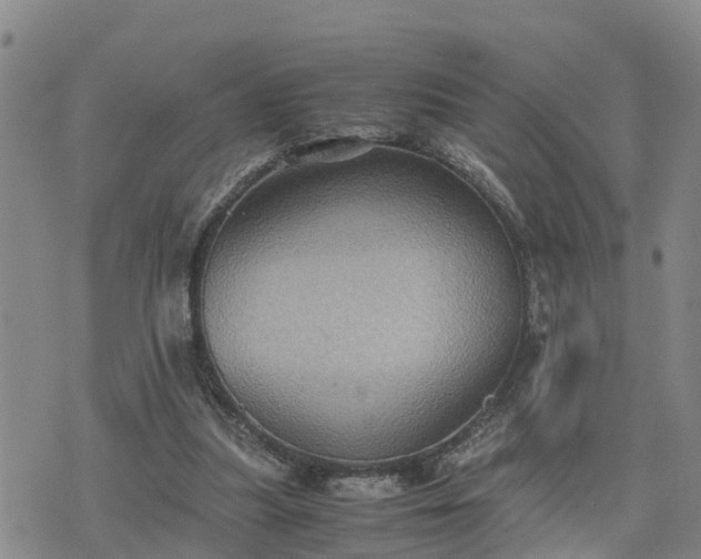 X0000075870251200609221828