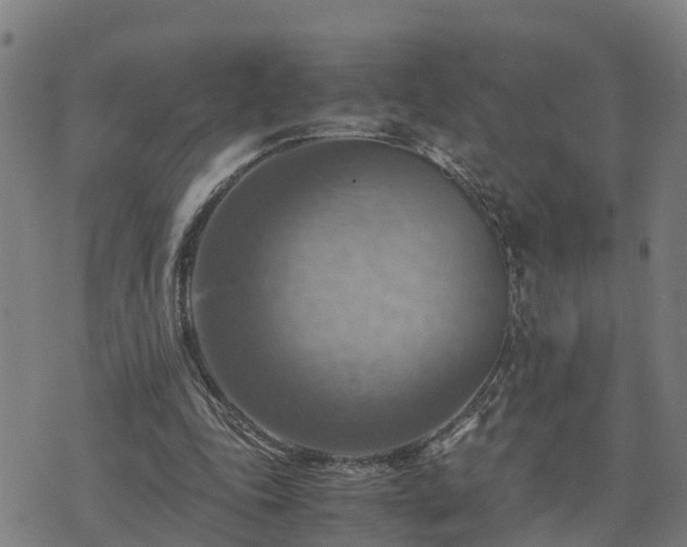 X0000075870343200609221826