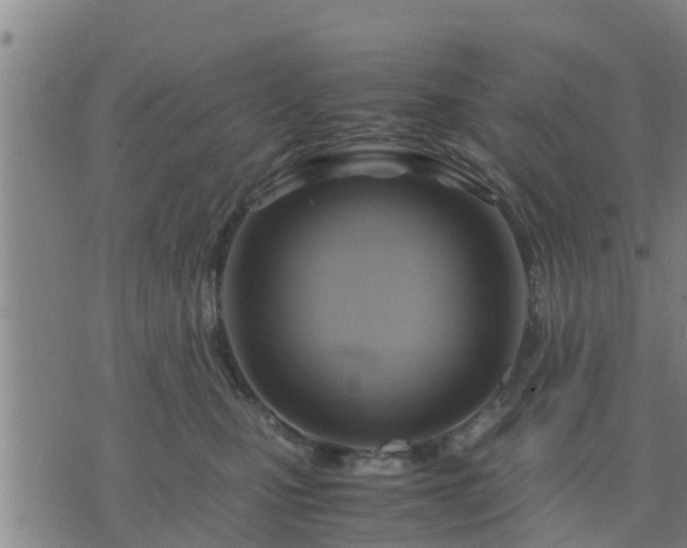 X0000075870471200609221825