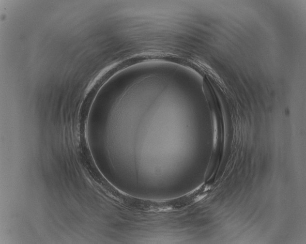 X0000075870484200609221824