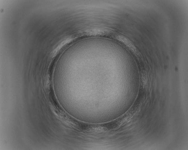 X0000075870583200609221823