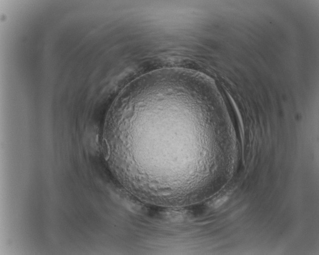 X0000075870615200609221822