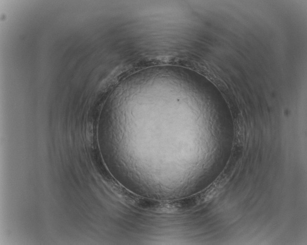 X0000075870656200609221822
