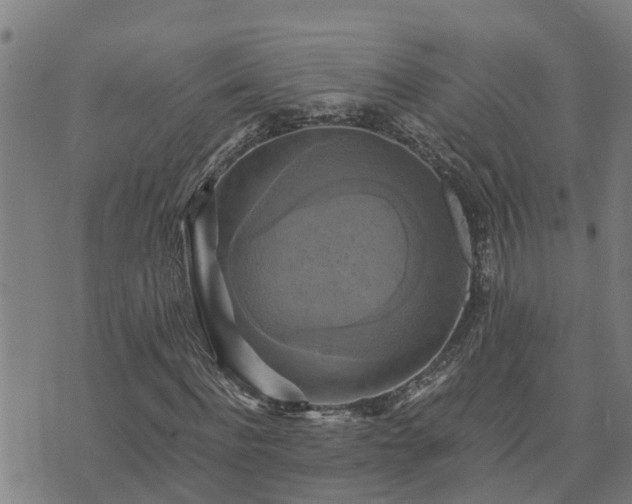 X0000075870916200609221817