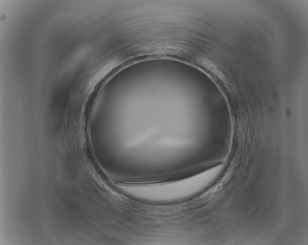 X0000075871071200609221815