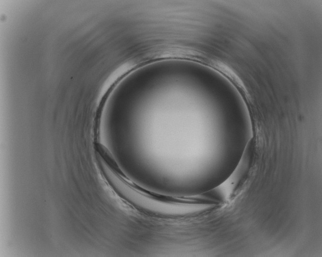 X0000075871138200609221814
