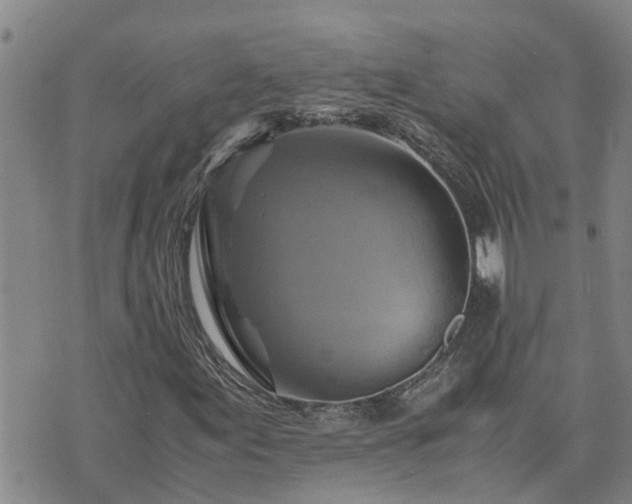 X0000075871155200609221813